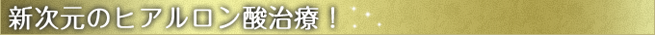 新次元のヒアルロン酸治療！